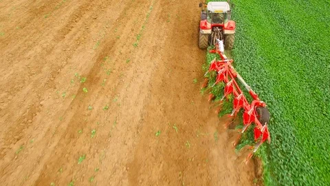 Tractor with plough working on a field.  Green manure for organic growing. 스톡 동영상 115510913
