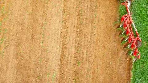 Tractor with plough working on a field.  Green manure for organic growing. Stock Footage 115513300