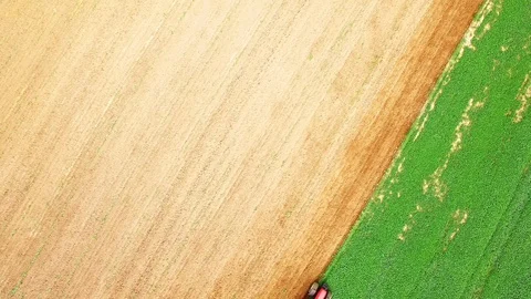 Tractor with plough working on a field.  Green manure for organic growing. Stock Footage 115514801