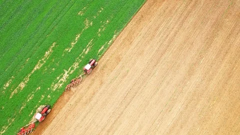 Tractor with plough working on a field.  Green manure for organic growing. Stock Footage 115515415