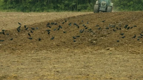 Tractor ploughing a field in germany Stock Footage 52517007