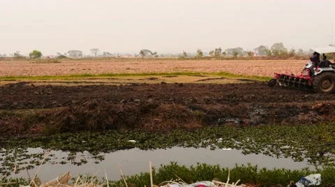 Tractor plow the field in Myanmar - slight dolly shot Stock Footage 61321237
