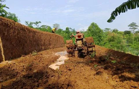 Tractor plow field Foto stock