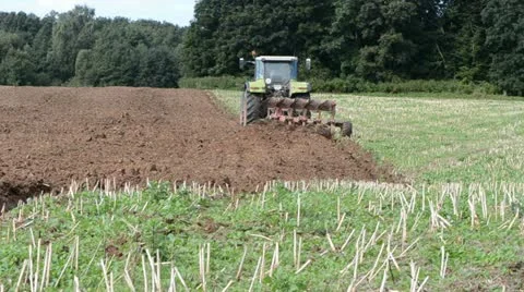Tractor plowed  rapes field after harvesting Stock Footage 12135928