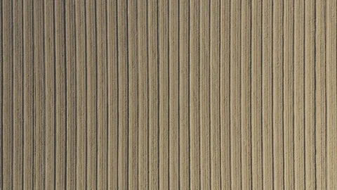 Tractor plowing and spraying on field. Stock Footage 118798095