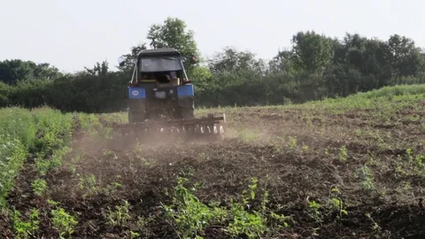 Tractor plowing the black earth plow field at morning overgrown with weeds Stock Footage