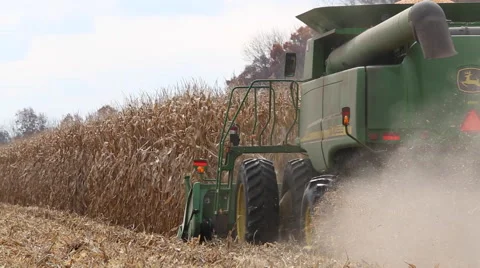 Tractor plowing corn Stockbeeldmateriaal 45697678