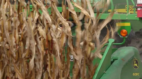 Tractor plowing corn Stockbeeldmateriaal 45697826