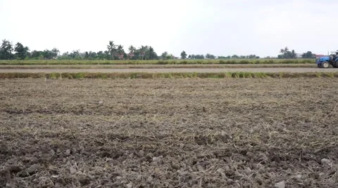 Tractor plowing dry paddy field Stock Footage 47236439