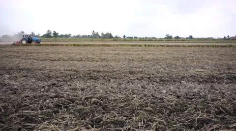 Tractor plowing dry paddy field Stock Footage 47236709