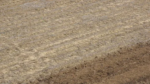 Tractor plowing the field (02) Video stock 23464718