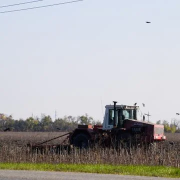 Tractor plowing a field and crows flying around him in search of Foto stock