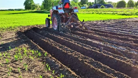 Tractor plowing field and preparing soil for spring cultivation on a sunny day Stock Footage 341457441