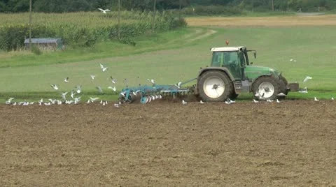 Tractor plowing field Stock Footage 14200050