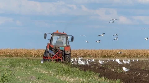 Tractor plowing a field Stock Footage 41443498