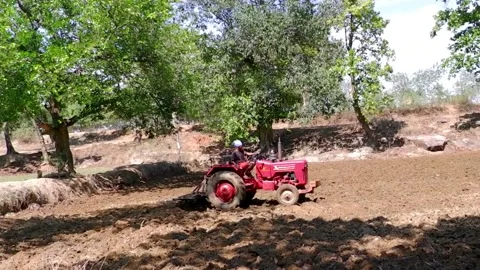 Tractor plowing field with green tree, clear blue sky in backdrop Stock Footage 163262746