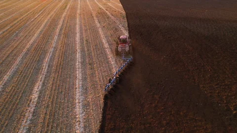 Tractor Plowing field on sunset. Cultivated land and soil tillage. Video stock 167062156