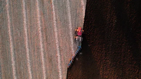 Tractor Plowing field on sunset. Cultivated land and soil tillage. Video stock 167560790