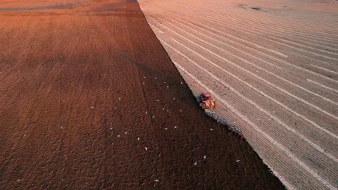 Tractor Plowing field on sunset. Cultivated land and soil tillage. 스톡 동영상 167560800