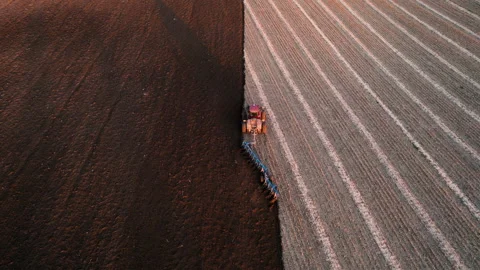 Tractor Plowing field on sunset. Cultivated land and soil tillage. Stock Footage 167561209