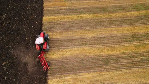 Tractor Plowing field on sunset. Red Tractor with Plough on Plowed. Stock Footage 191911373