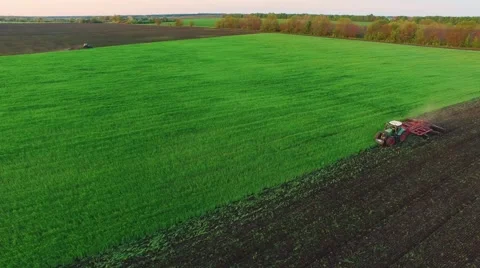 Tractor plowing the field, the young wheat is processed at the fertilizer Video stock 62805888