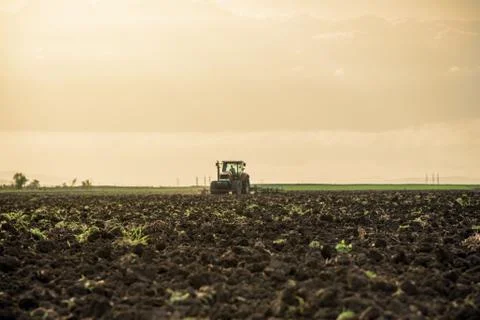 Tractor plowing fields. Stock-Fotos