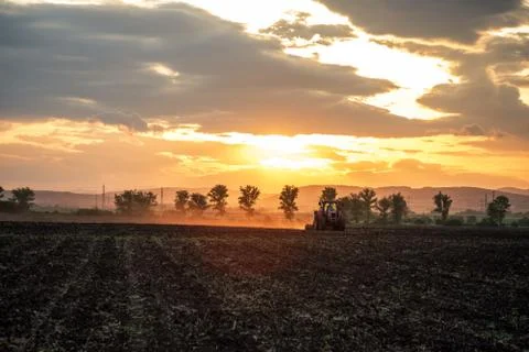 Tractor plowing fields. Stock Photos