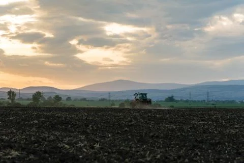 Tractor plowing fields. Foto stock