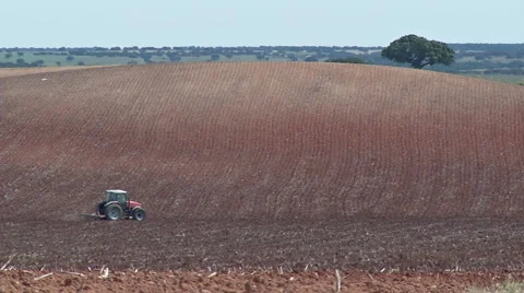 Tractor plowing the land 2 Stock Footage 51937780