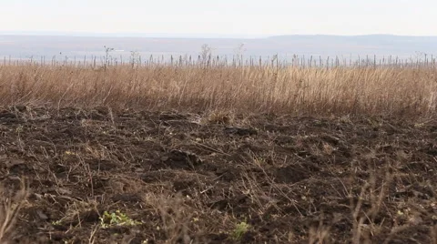 Tractor plowing land Stock Footage 58095074