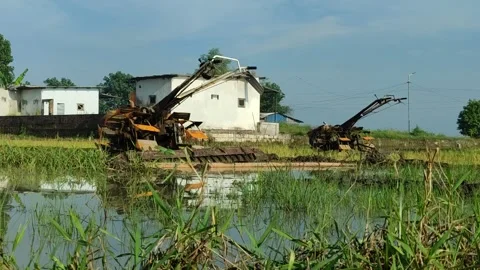 Tractor Plowing in the Middle of a Lush Rice Field Stock Footage 322895070