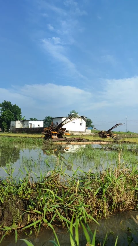 Tractor Plowing in the Middle of a Lush Rice Field Stock Footage 322895071