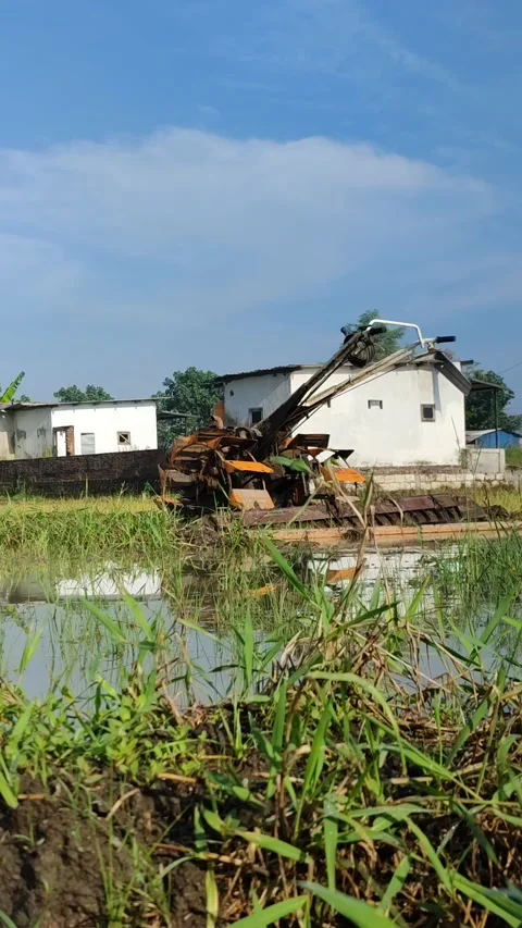 Tractor Plowing in the Middle of a Lush Rice Field Stock Footage 322895090