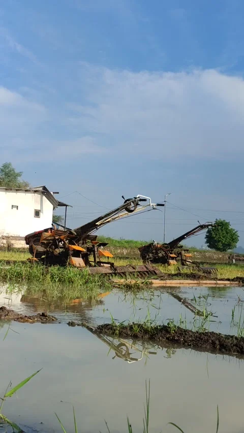 Tractor Plowing in the Middle of a Lush Rice Field Stock Footage 322895101