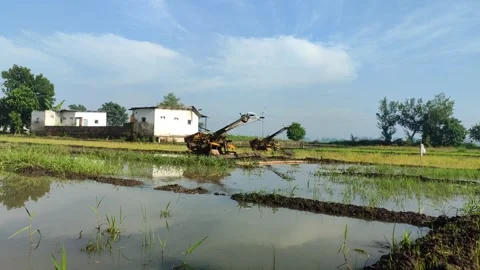 Tractor Plowing in the Middle of a Lush Rice Field Stock Footage 322895117