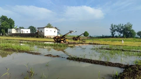 Tractor Plowing in the Middle of a Lush Rice Field Stock Footage 322895138