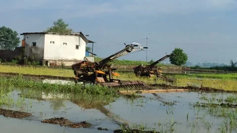 Tractor Plowing in the Middle of a Lush Rice Field Stock Footage 322895139