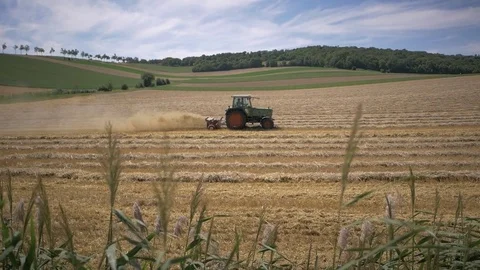 Tractor plowing wheat field after harvest in slow motion. Video stock 79957507