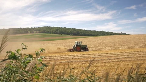 Tractor plowing wheat field after harvest. Video stock 79957539
