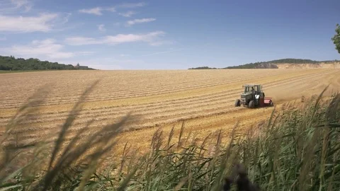 Tractor plowing wheat field after harvest. Edit sequence Video stock 79958251