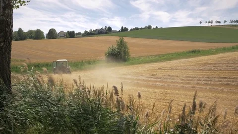Tractor plowing wheat field and turning around. Video stock 79955738