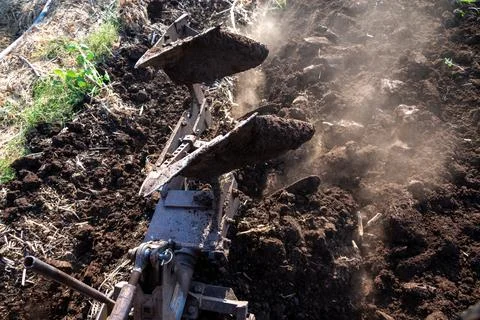 Tractor plows agricultural field. Processing the field with a tractor. The .. Foto stock