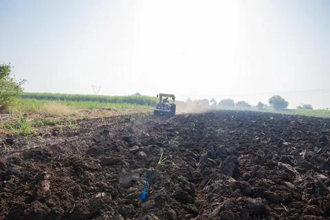 Tractor plows agricultural field. Processing the field with a tractor. The .. Stock Photos