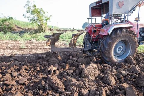 Tractor plows agricultural field. Processing the field with a tractor. The .. Stock Photos