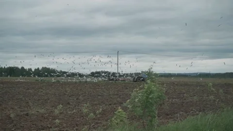 The tractor plows the arable land in the spring Stock Footage 172357100