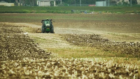 Tractor plows a corn field, with a disk plow in the summer of southern Israel Stock Footage 93623449