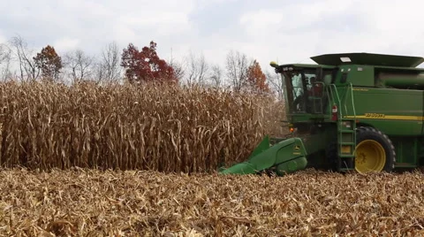 Tractor plows corn Stockbeeldmateriaal 45696935