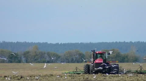 The tractor plows the earth. Stock Footage 49408115