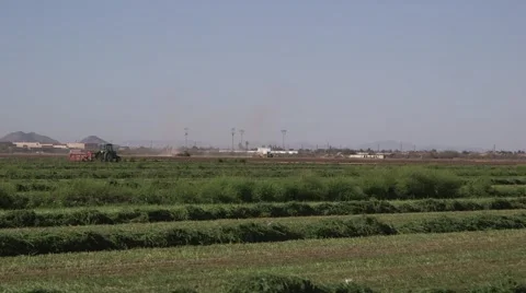 Tractor plows farm field Stock Footage 48827197